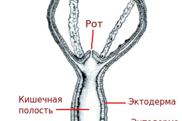 Кракен зеркало маркетплейс